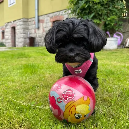 Albion * Szklarska Poręba