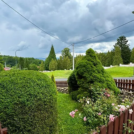 Διαμέρισμα Albion *