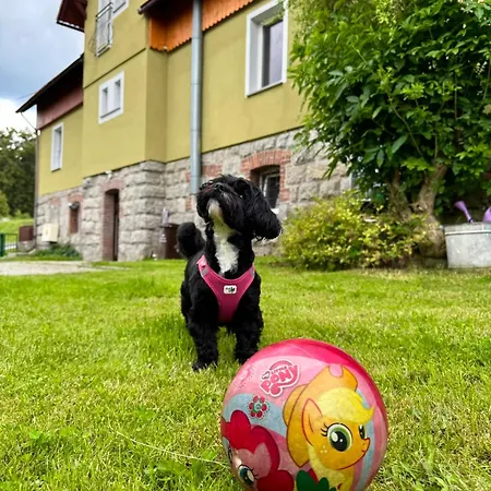 Albion アパート シクラルスカ・ポレンバ