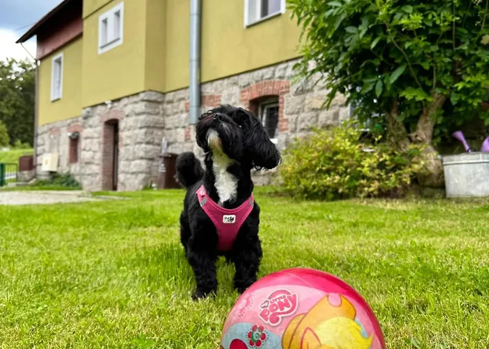 Albion Apartament Szklarska Poręba